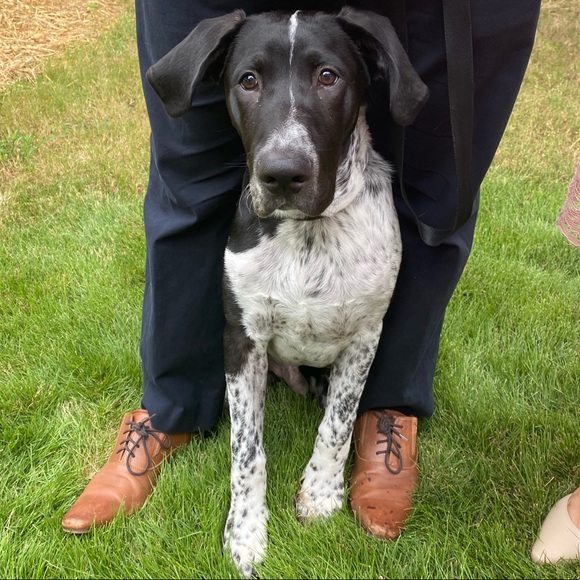 Hey there🤠! - Picture 5 of 5